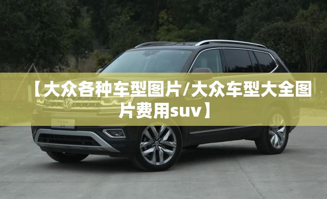 【大众各种车型图片/大众车型大全图片费用suv】 【大众各种车型图片/大众车型大全图片费用suv】
