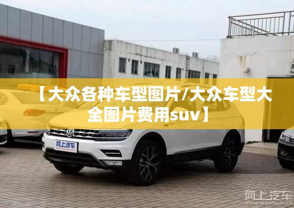 【大众各种车型图片/大众车型大全图片费用suv】 【大众各种车型图片/大众车型大全图片费用suv】