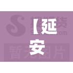 【延安薰衣草幼苗行情/薰衣草种苗费用表】