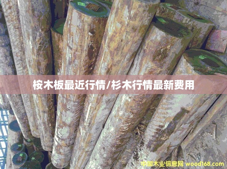 【新冠状病毒最新疫情/新冠状病毒最新疫情消息】