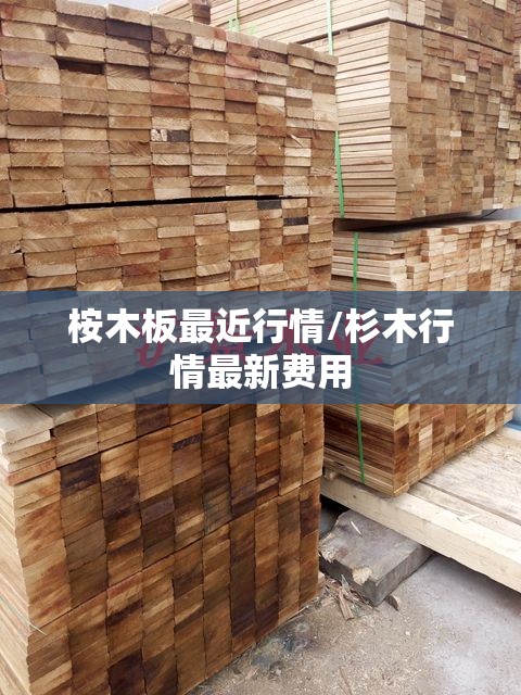 桉木板最近行情/杉木行情最新费用