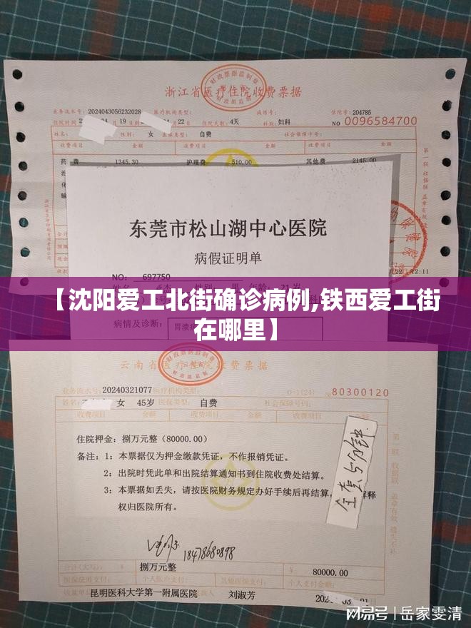 【沈阳爱工北街确诊病例,铁西爱工街在哪里】