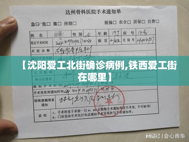 【沈阳爱工北街确诊病例,铁西爱工街在哪里】