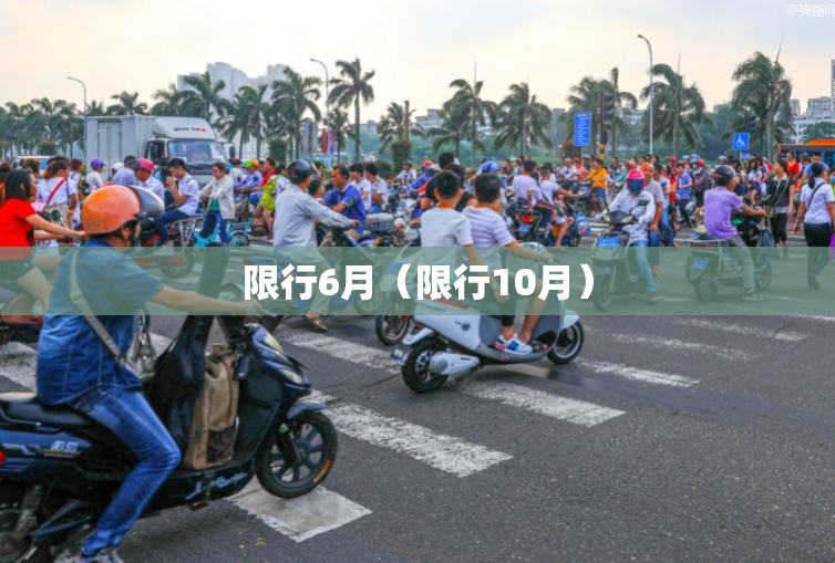 限行6月(限行10月) 限行6月(限行10月)