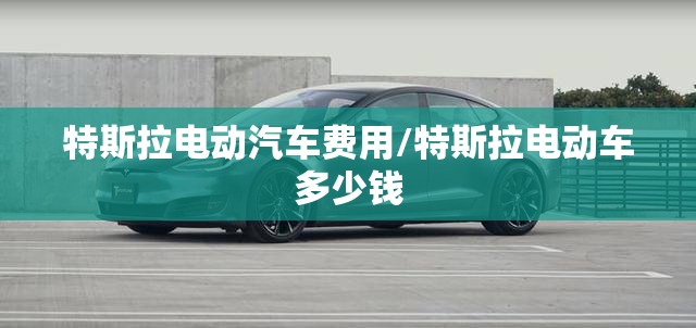 特斯拉电动汽车费用/特斯拉电动车多少钱