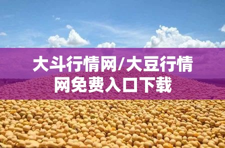 大斗行情网/大豆行情网免费入口下载 大斗行情网/大豆行情网免费入口下载