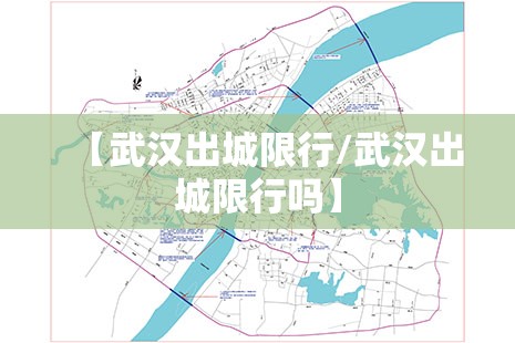 【武汉出城限行/武汉出城限行吗】