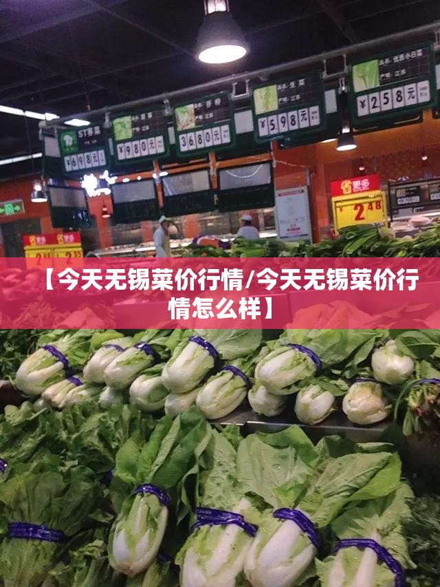 【今天无锡菜价行情/今天无锡菜价行情怎么样】 【今天无锡菜价行情/今天无锡菜价行情怎么样】