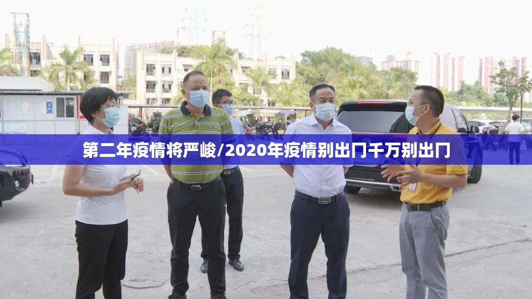 第二年疫情将严峻/2020年疫情别出冂千万别出冂