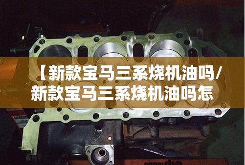 宝马320费用:gt320i宝马费用