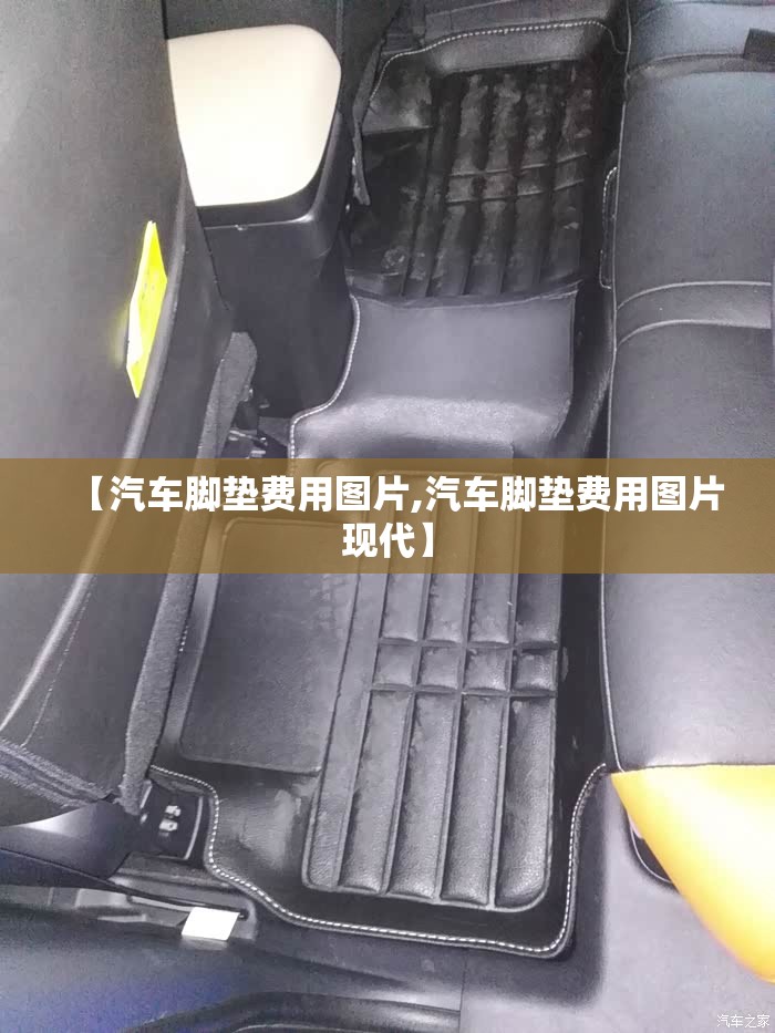 【汽车脚垫费用图片,汽车脚垫费用图片现代】 【汽车脚垫费用图片,汽车脚垫费用图片现代】