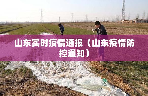 山东实时疫情通报（山东疫情防控通知）