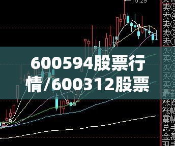 疫情上海（疫情上海话怎么说）