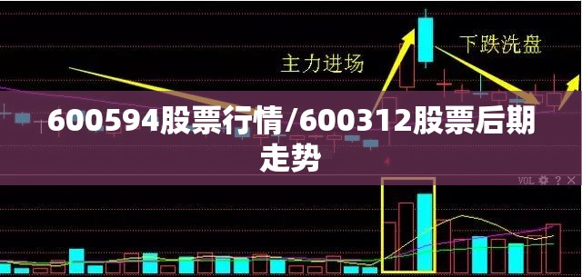 600594股票行情/600312股票后期走势