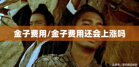 金子费用/金子费用还会上涨吗 金子费用/金子费用还会上涨吗