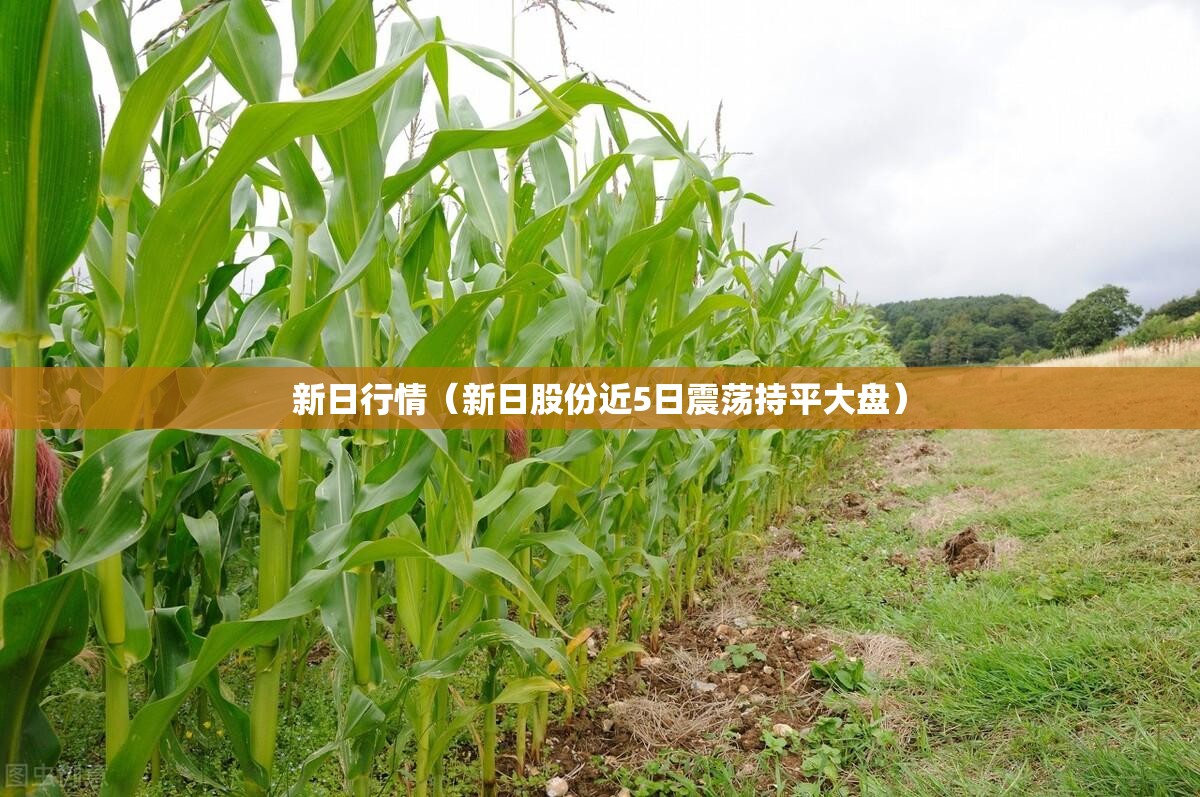 新日行情(新日股份近5日震荡持平大盘) 新日行情(新日股份近5日震荡持平大盘)