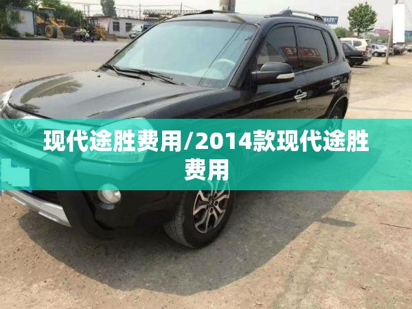 科目三正确起步方法/科目三起步的正确操作顺序是