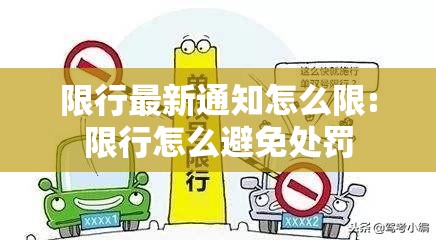 限行最新通知怎么限:限行怎么避免处罚