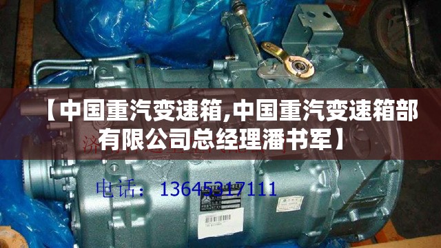【中国重汽变速箱,中国重汽变速箱部有限公司总经理潘书军】 【中国重汽变速箱,中国重汽变速箱部有限公司总经理潘书军】