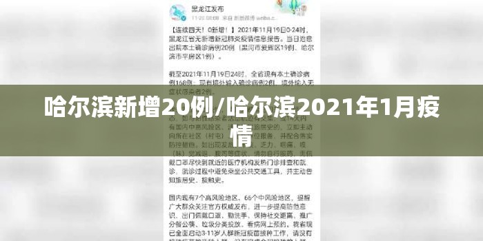 哈尔滨新增20例/哈尔滨2021年1月疫情 哈尔滨新增20例/哈尔滨2021年1月疫情