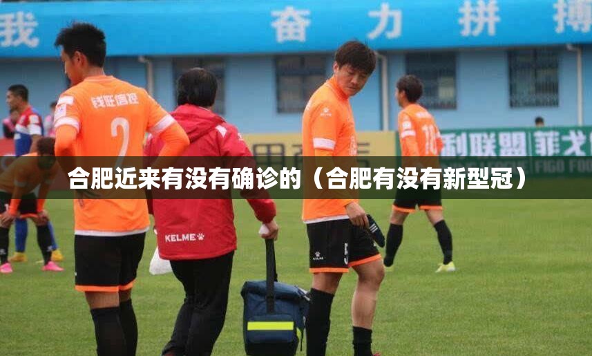 合肥近来有没有确诊的（合肥有没有新型冠）