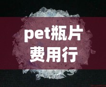 pet瓶片费用行情/PET瓶片费用