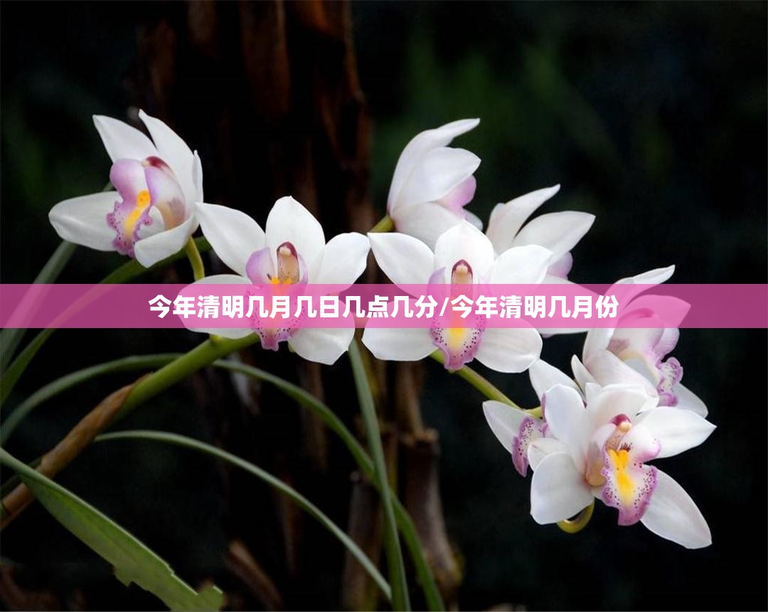 今年清明几月几日几点几分/今年清明几月份 今年清明几月几日几点几分/今年清明几月份