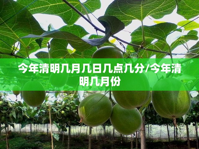 今年清明几月几日几点几分/今年清明几月份