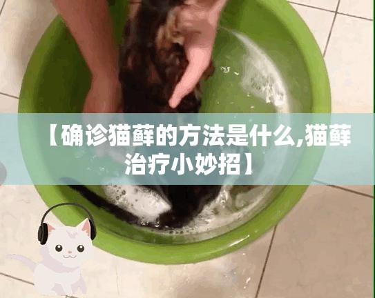 【确诊猫藓的方法是什么,猫藓治疗小妙招】