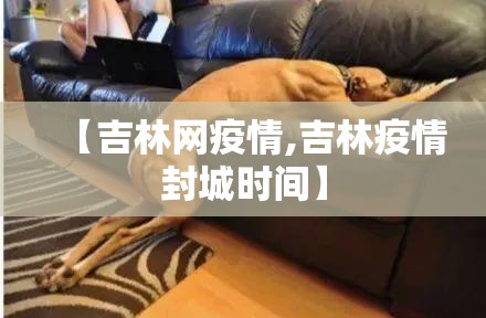 【吉林网疫情,吉林疫情封城时间】 【吉林网疫情,吉林疫情封城时间】
