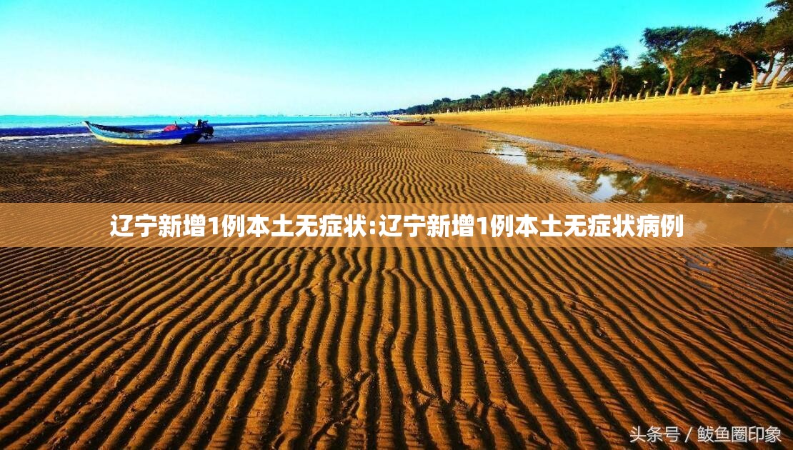 辽宁新增1例本土无症状:辽宁新增1例本土无症状病例
