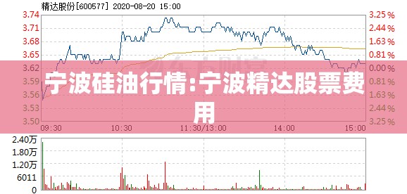 宁波硅油行情:宁波精达股票费用
