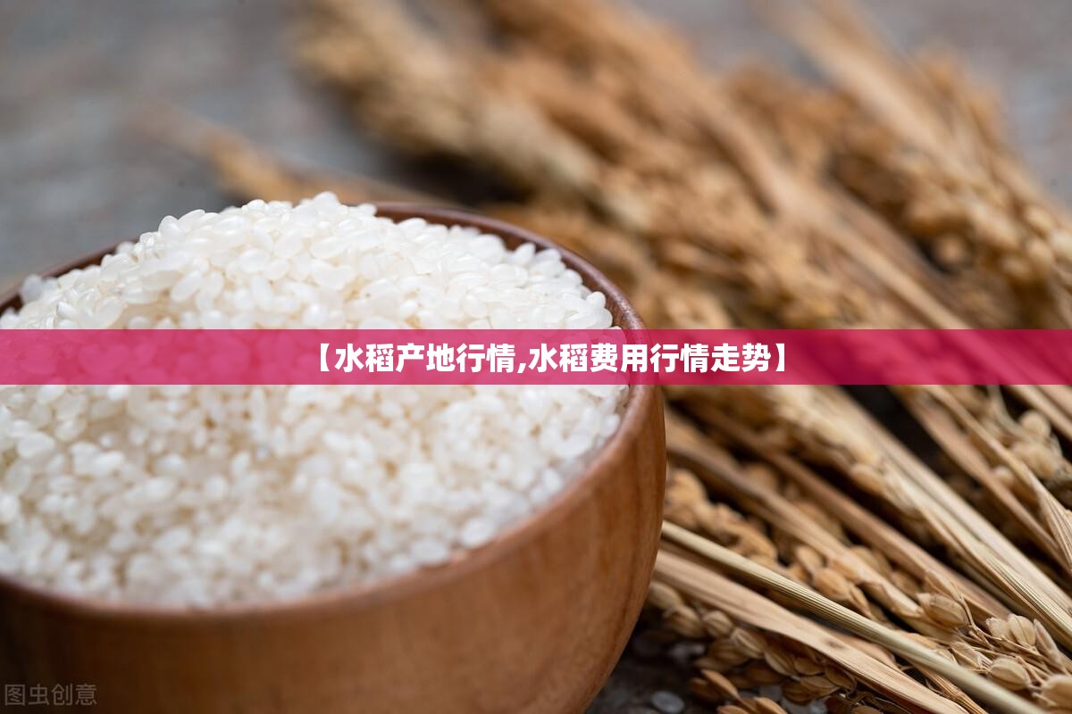 【水稻产地行情,水稻费用行情走势】