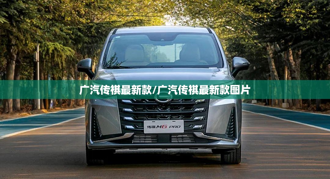 广汽传祺最新款/广汽传祺最新款图片