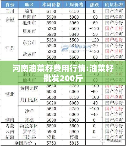 河南油菜籽费用行情:油菜籽批发200斤