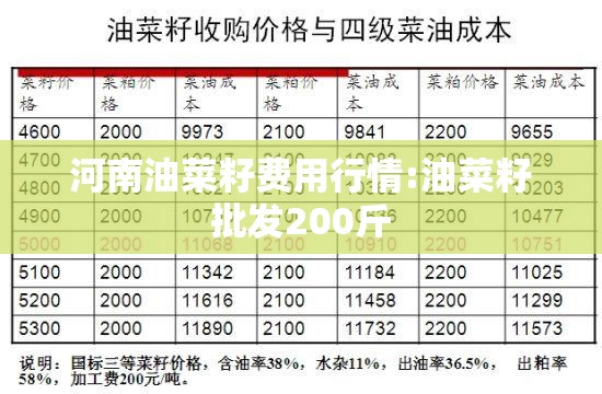 河南油菜籽费用行情:油菜籽批发200斤