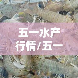 五一水产行情/五一水产行情怎么样