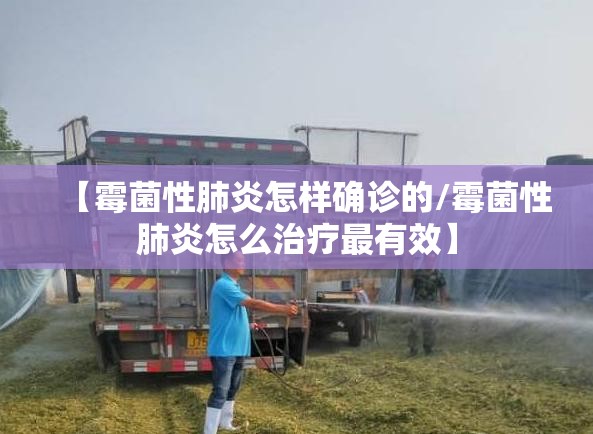 【霉菌性肺炎怎样确诊的/霉菌性肺炎怎么治疗最有效】 【霉菌性肺炎怎样确诊的/霉菌性肺炎怎么治疗最有效】