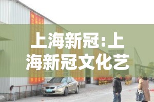 上海新冠:上海新冠文化艺术交流有限公司