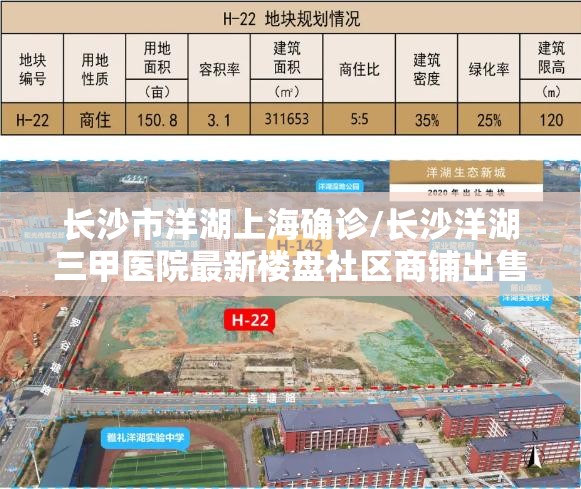 长沙市洋湖上海确诊/长沙洋湖三甲医院最新楼盘社区商铺出售
