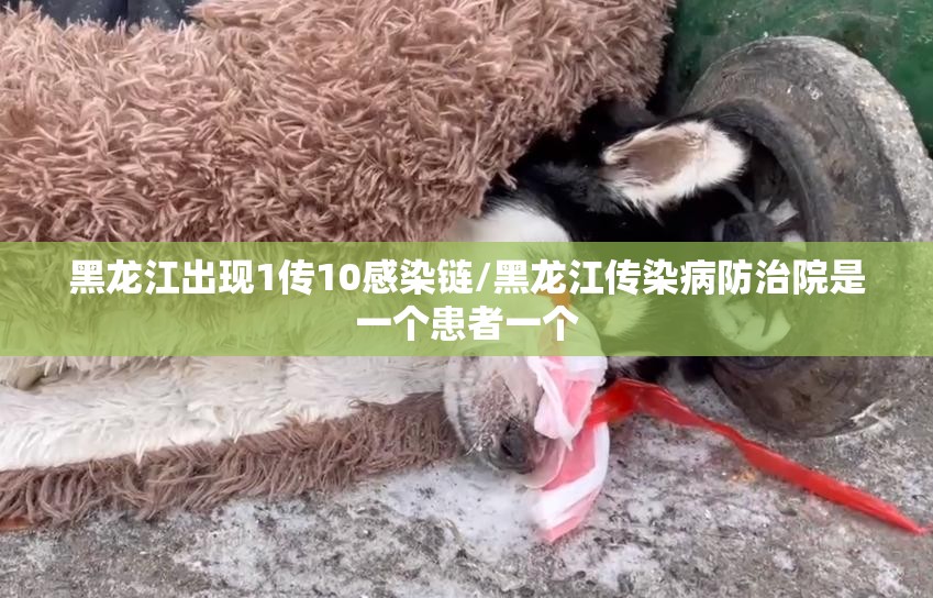 黑龙江出现1传10感染链/黑龙江传染病防治院是一个患者一个