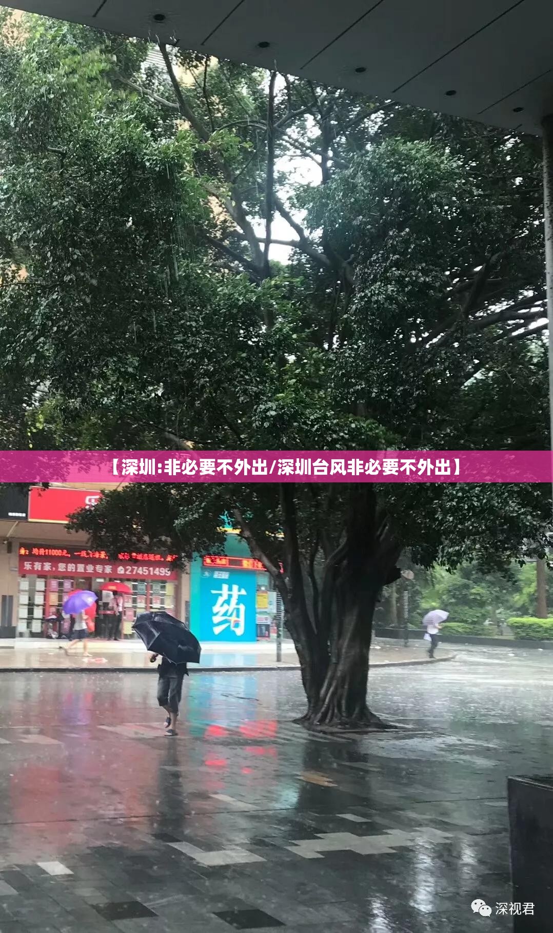 【深圳:非必要不外出/深圳台风非必要不外出】 【深圳:非必要不外出/深圳台风非必要不外出】