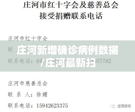庄河新增确诊病例数据/庄河最新扫 庄河新增确诊病例数据/庄河最新扫