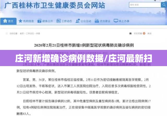 庄河新增确诊病例数据/庄河最新扫 庄河新增确诊病例数据/庄河最新扫