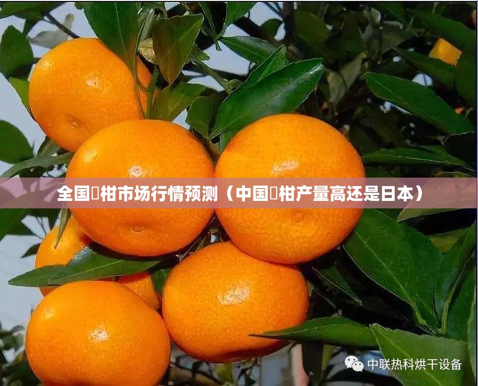 全国椪柑市场行情预测（中国椪柑产量高还是日本）