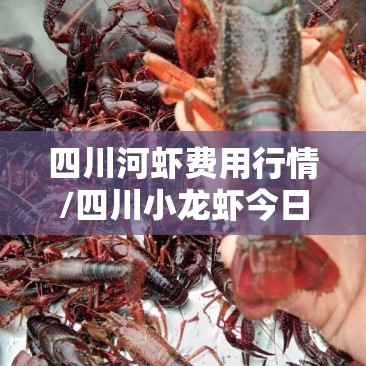 四川河虾费用行情/四川小龙虾今日费用行情 四川河虾费用行情/四川小龙虾今日费用行情