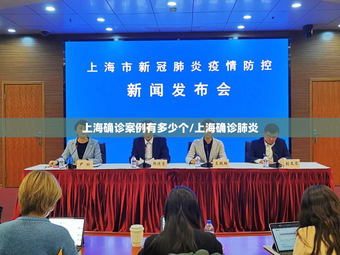 上海确诊案例有多少个/上海确诊肺炎