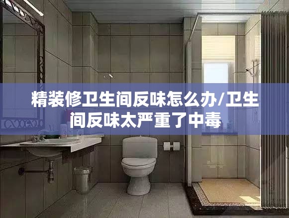 精装修卫生间反味怎么办/卫生间反味太严重了中毒