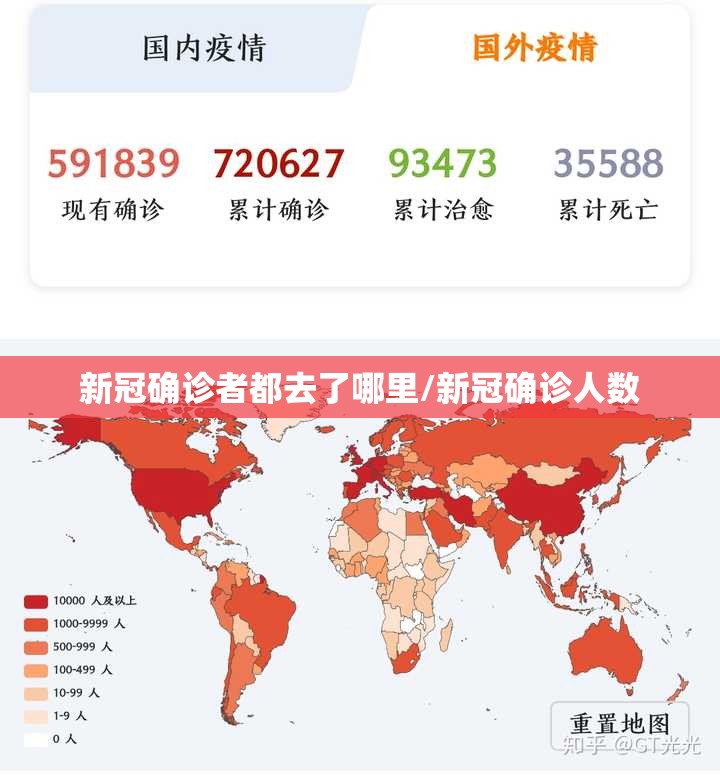 新冠确诊者都去了哪里/新冠确诊人数