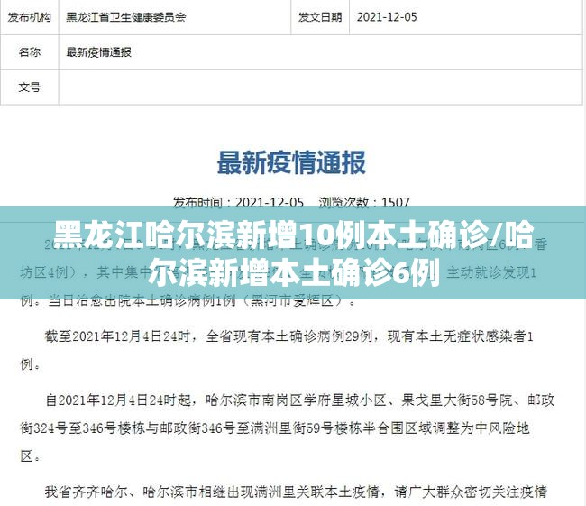 黑龙江哈尔滨新增10例本土确诊/哈尔滨新增本土确诊6例 黑龙江哈尔滨新增10例本土确诊/哈尔滨新增本土确诊6例
